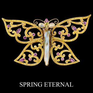 Butterflies & Spiders 5