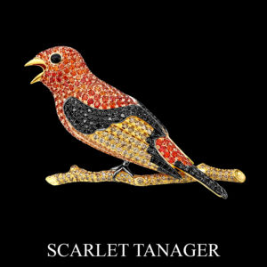 Scarlet Tanager